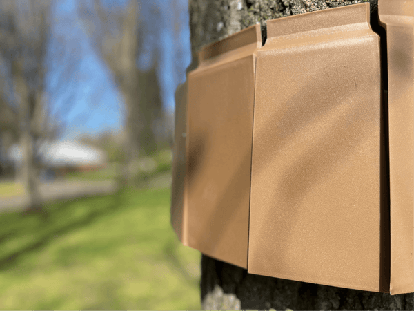 Combating Spotted Lanternfly Infestation in Pennsylvania with FOBA Trap: Protecting Ecosystems and Agriculture
