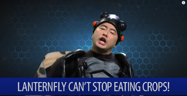 SNL or SLF: Saturday Night Live Weekend Update on Spotted Lanternfly on Being an Invasive Species